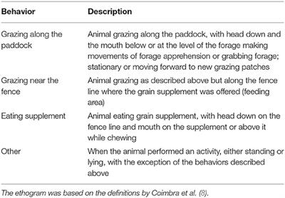 Time of Grain Supplementation and Social Dominance Modify Feeding Behavior of Heifers in Rotational Grazing Systems